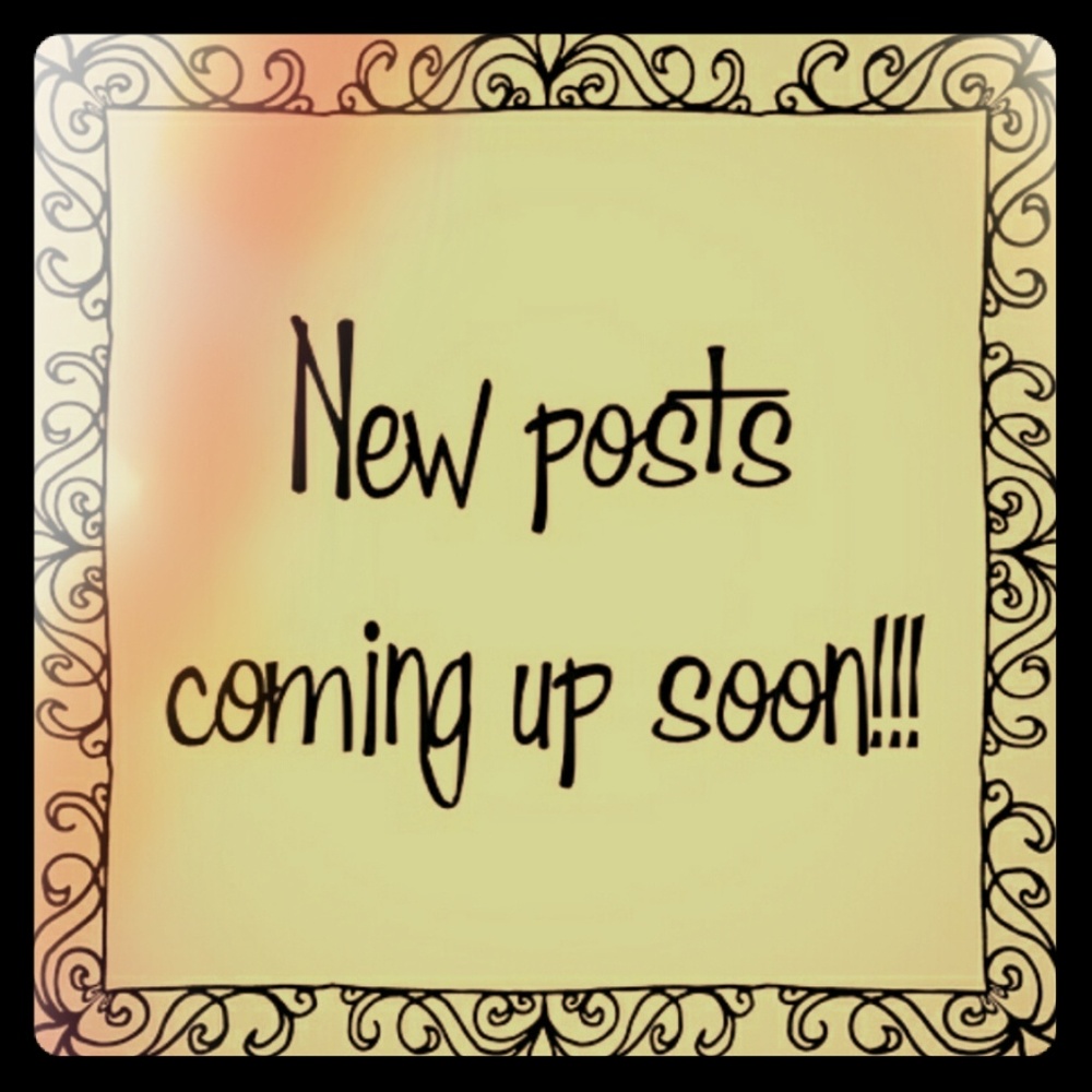 🌟NWT🌟All New Posts are going to be coming SOON🌟